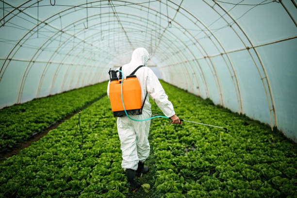 Best Pest Prevention Services  in Duluth, WA