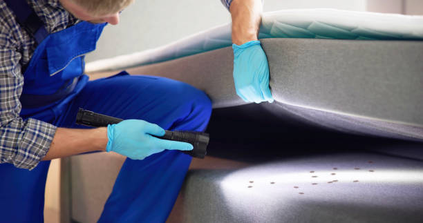 Professional Pest Control in Duluth, WA