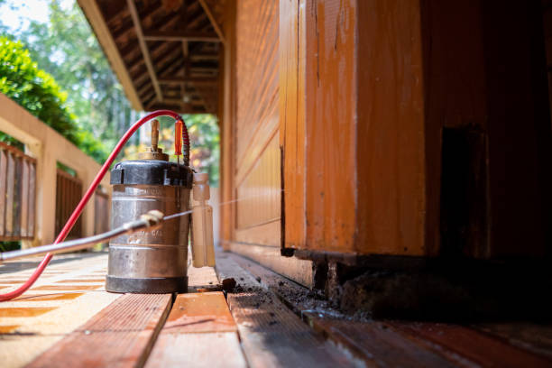 Best Best Pest Control Companies  in Duluth, WA